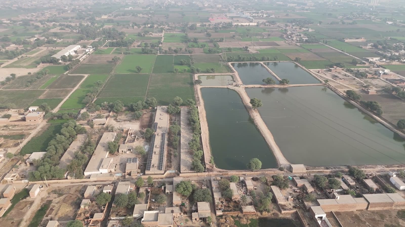 Aerial view of Al Madad's integrated farm — aquaculture ponds, poultry sheds and fields